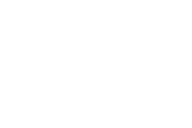 Healthy Bed